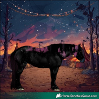Horse Color:ERROR: UNKNOWN ANOMALY