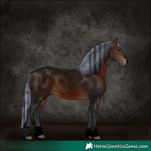 Horse Color:Void Painted Brown Roan 