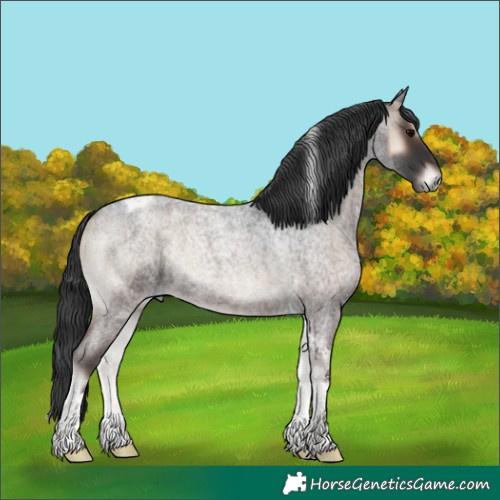Horse Color:Blue Onyx Roan Tobiano 
