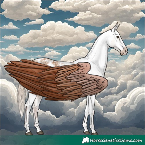 Horse Color:Red Dun Appaloosa  and Red Dun Appaloosa 