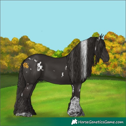 Horse Color:White Spotted Liver Chestnut Tobiano 