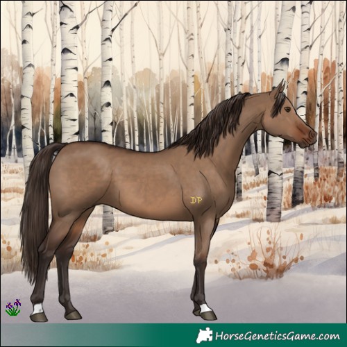 Horse Color:Liver Red Dun 