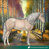 Horse Color:Chocolate Palomino Pearl Sabino 