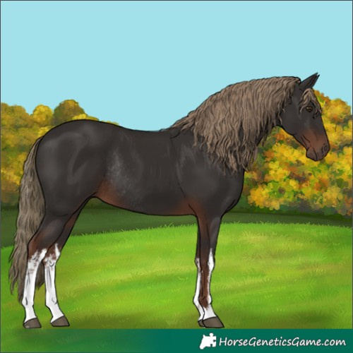 Horse Color:White Spotted Liver Chestnut Rabicano 