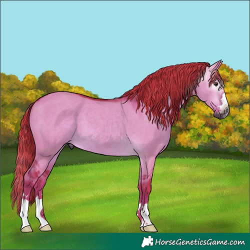 Horse Color:Gray Watercolor Liver Red Dun 