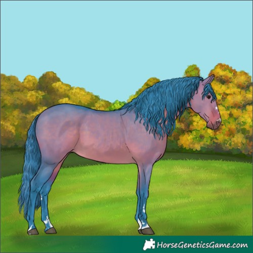 Horse Color:Watercolor Bay Dun 