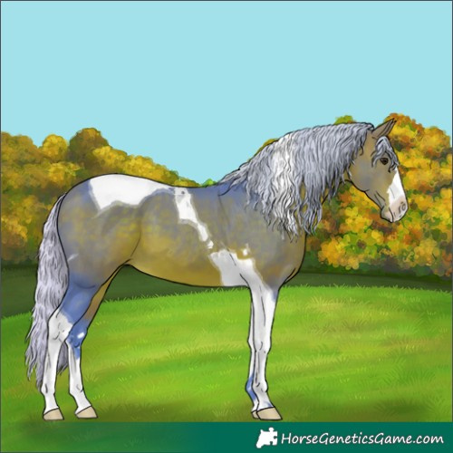 Horse Color:Watercolor Silver Bay Tobiano 