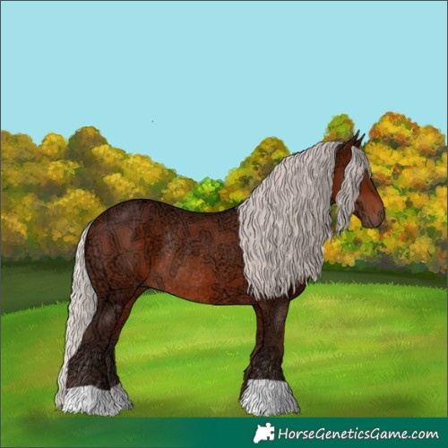 Horse Color:Silver Bay Ice Rabicano 