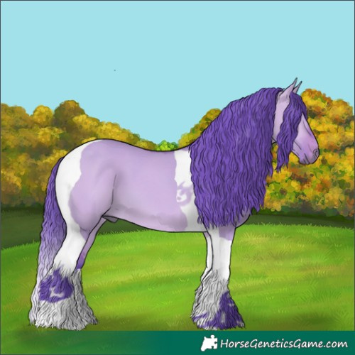 Horse Color:Watercolor Bay Dun Tobiano 
