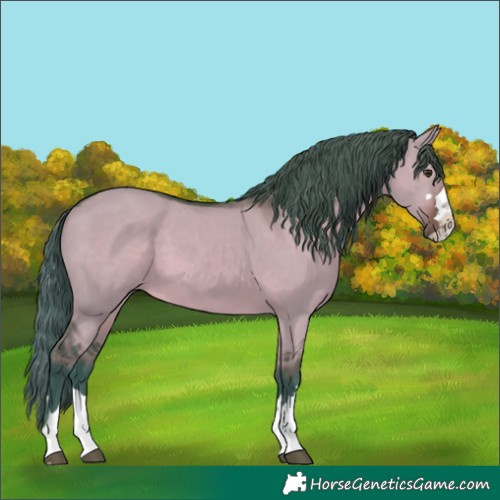 Horse Color:Watercolor Liver Red Dun 