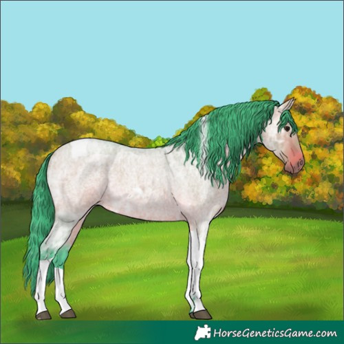 Horse Color:Watercolor Bay Ice Roan Dun Tobiano 