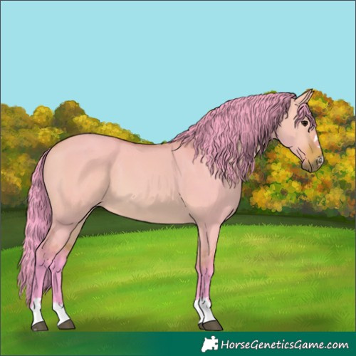 Horse Color:Watercolor Bay Dun 