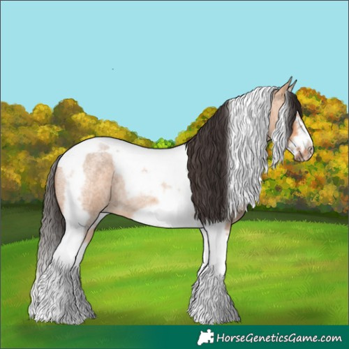 Horse Color:Bay Roan Dun Splash Tobiano Frame 