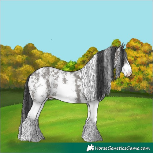 Horse Color:Grullo Sabino Rabicano 