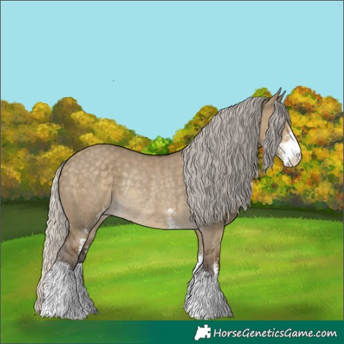 Horse Color:Silver Smoky Grullo Sabino Rabicano 