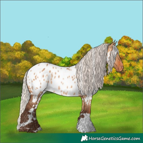 Horse Color:White Spotted Silver Bay Dun Appaloosa Rabicano 