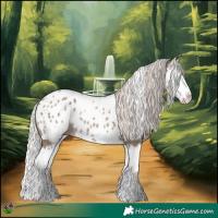 Horse Color:White Spotted Silver Grullo Splash Near Leopard Rabicano 