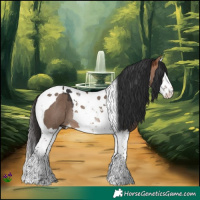 Horse Color:Bay Dun Splash Tobiano Rabicano