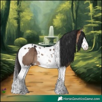 Horse Color:Bay Dun Splash Tobiano Rabicano