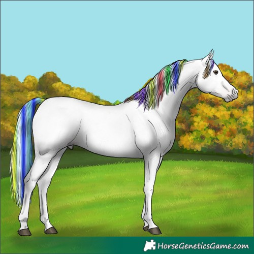 Horse Color:Gray Painted Chestnut 