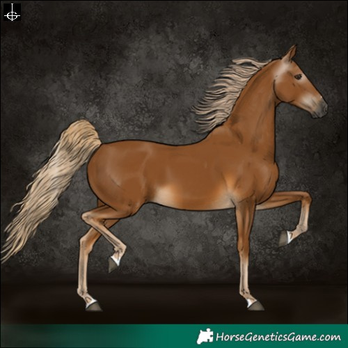 Horse Color:Gray Palomino