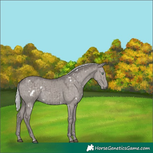 Horse Color:Platinum White Spotted Silver Smoky Grullo Rabicano Brindle 