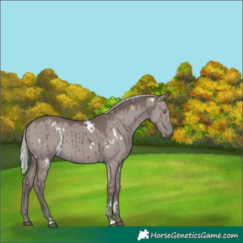 Horse Color:Platinum White Spotted Silver Grullo Rabicano Brindle 