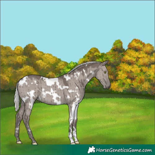 Horse Color:Platinum White Spotted Silver Grullo Rabicano Brindle 