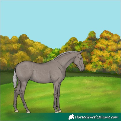 Horse Color:Platinum Silver Grullo Rabicano Brindle 