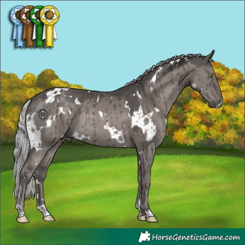 Horse Color:Platinum White Spotted Silver Grullo Rabicano Brindle 