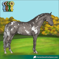 Horse Color:Platinum White Spotted Silver Grullo Rabicano Brindle 