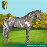 Horse Color:Platinum White Spotted Silver Grullo Rabicano Brindle 