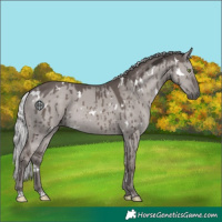 Horse Color:Platinum White Spotted Silver Grullo Rabicano Brindle 