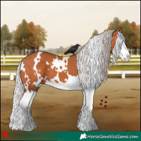Horse Color:White Spotted Silver Bay Splash 