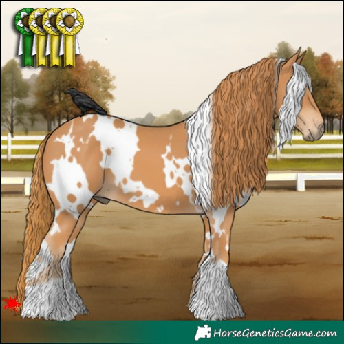 Horse Color:White Spotted Chestnut 
