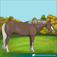 Horse Color:Silver Black 