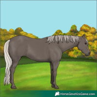 Horse Color:Silver Black 