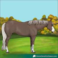 Horse Color:Silver Black 
