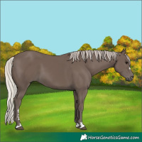 Horse Color:Silver Black 