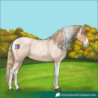 Horse Color:Red Roan Pearl Tobiano Frame 