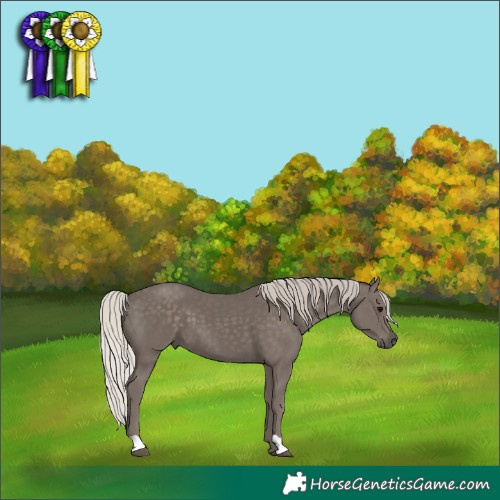 Horse Color:Silver Black 