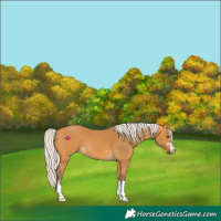 Horse Color:Silver Buckskin
