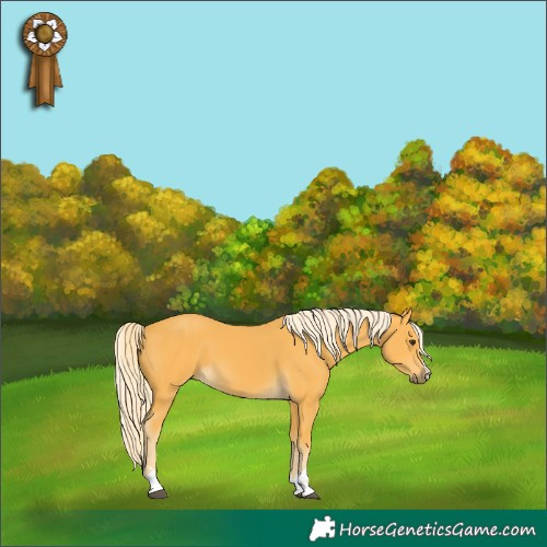 Horse Color:Palomino 