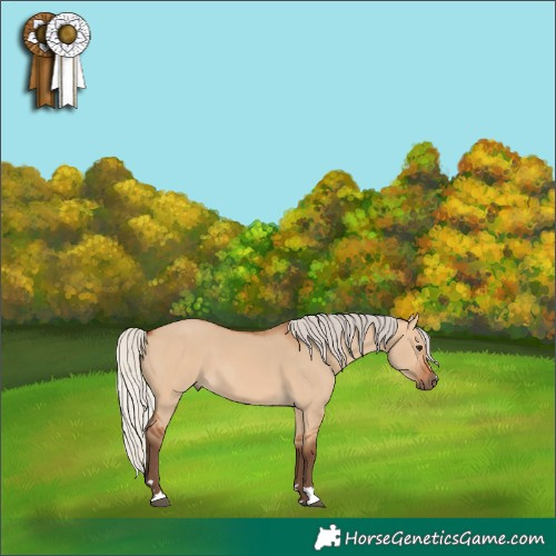 Horse Color:Silver Bay Dun 