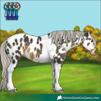 Horse Color:Silver Smoky Black Tobiano Near Leopard 