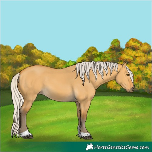 Horse Color:Silver Buckskin Dun Tobiano 