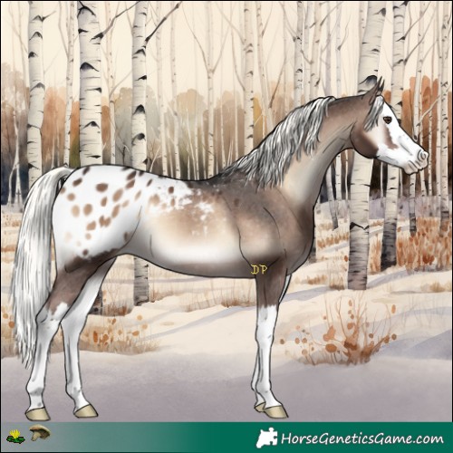 Horse Color:Liver Red Onyx Mushroom Splash Appaloosa 