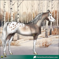 Horse Color:Liver Red Onyx Mushroom Splash Varnish