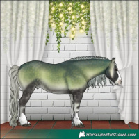 Horse Color:Silver Buckskin Onyx 