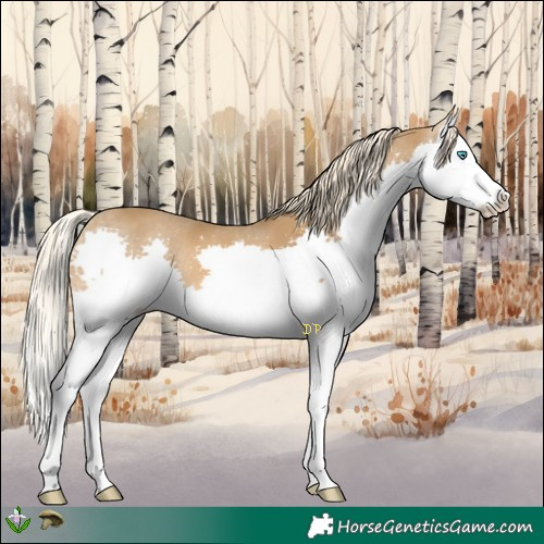 Horse Color:Chocolate Palomino Mushroom Splash